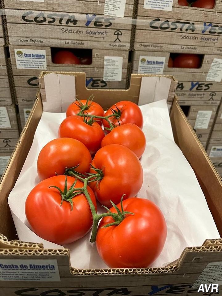 Holland Bazaar, ‘Britanya’nın en büyük 30 gıda toptancıs