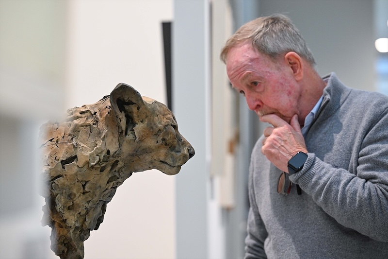 Saatchi Gallery Londra'da British Art Fair 2