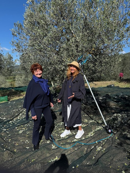 Aynur Toskana Tepelerinde Zeytinyağının Kalbi, Gabriella’dan Mesajlar