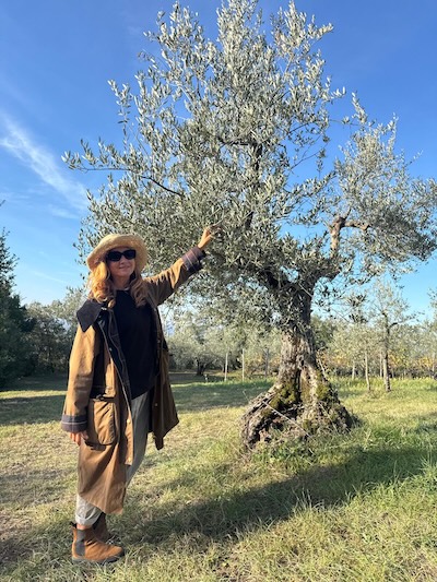 Toskana Tepelerinde Zeytinyağının Kalbi, Gabriella’dan Mesajlar Aynur Tattersal