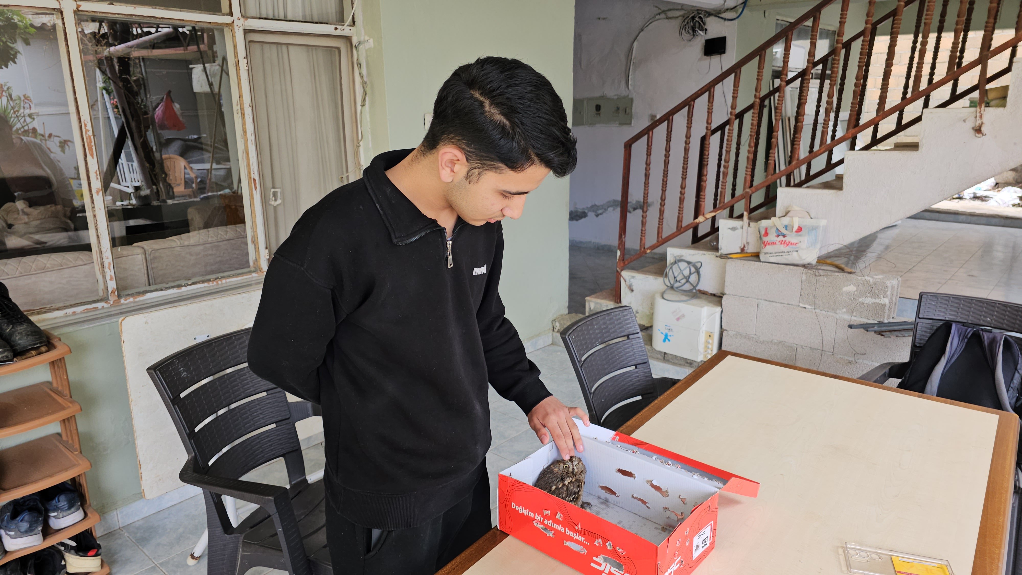 14 yaşındaki Berk, yaralı bulduğu İshak kuşunun yaşama tutunmasını sağladı