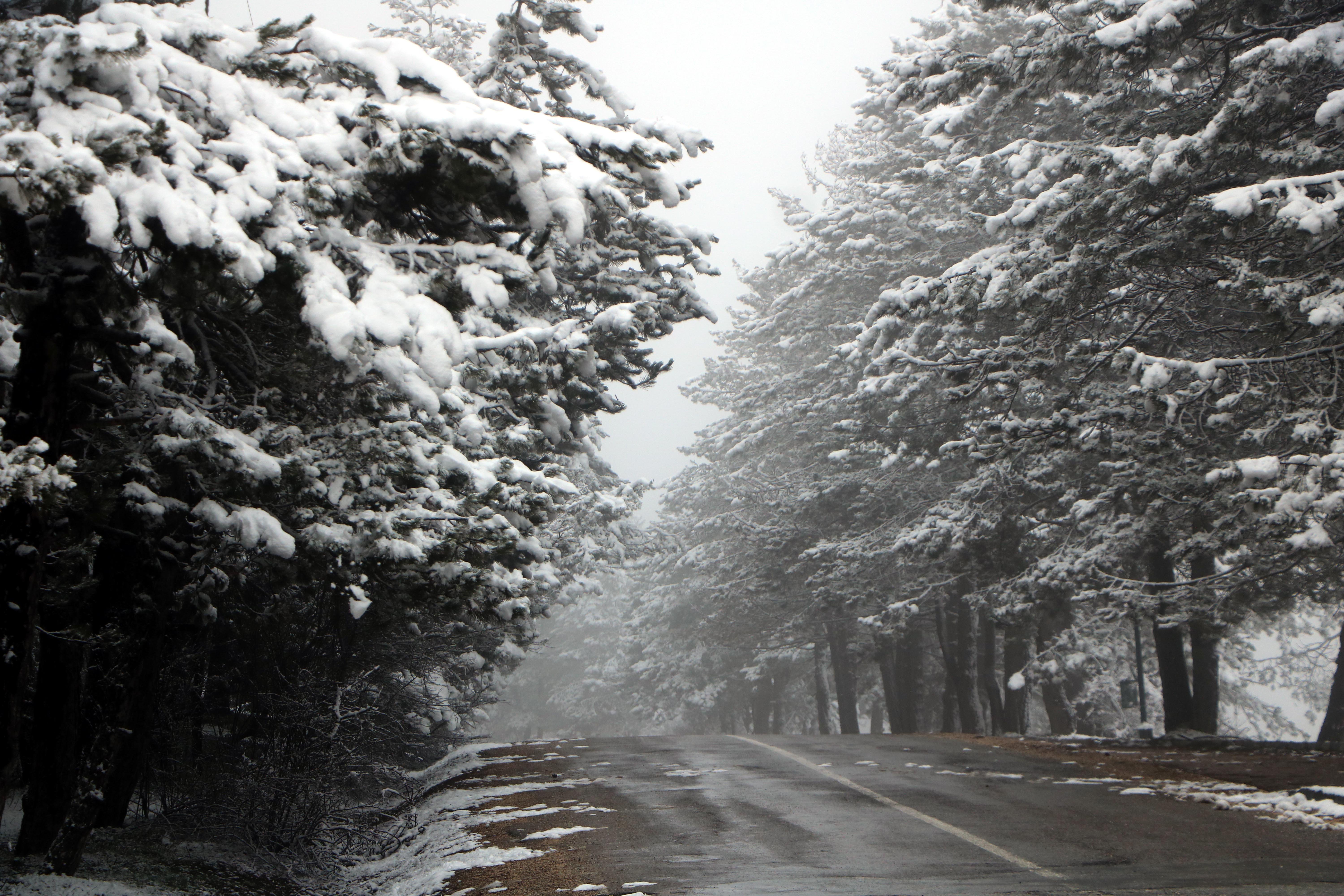 Abant, beyaz örtüyle kaplandı