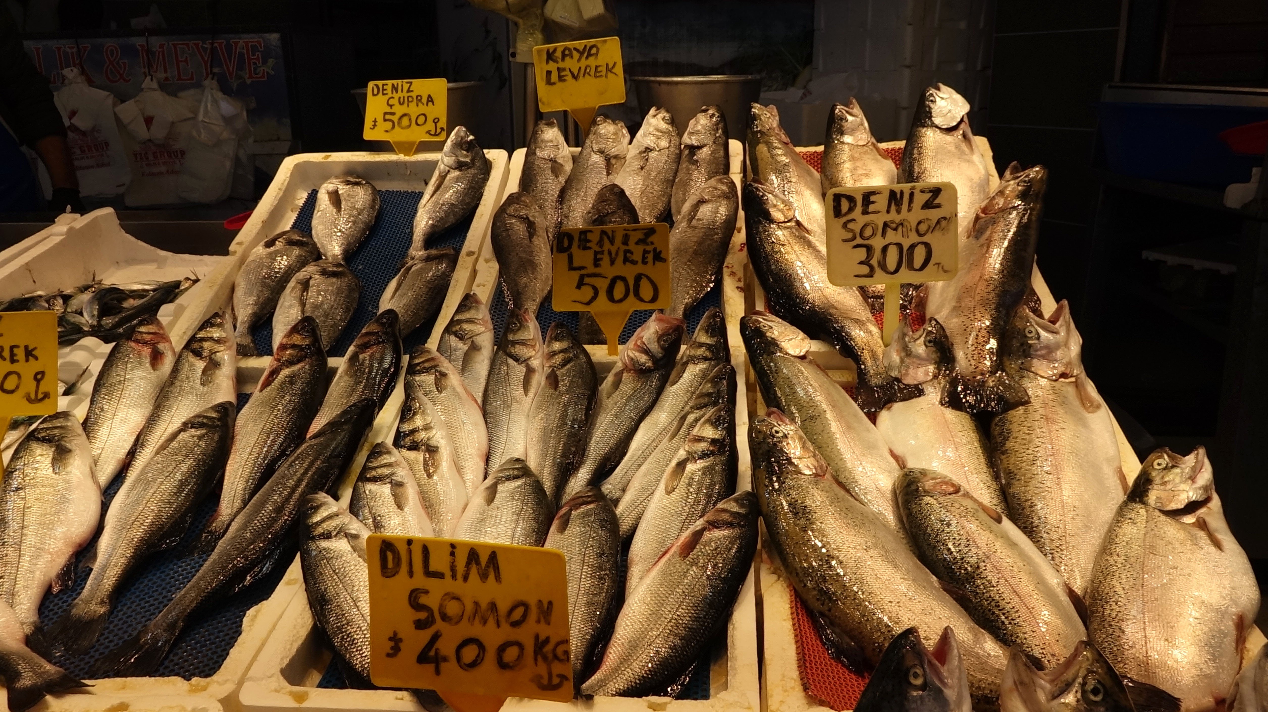 Av yasağı yaklaştı; hamsi yerini istavrite bıraktı