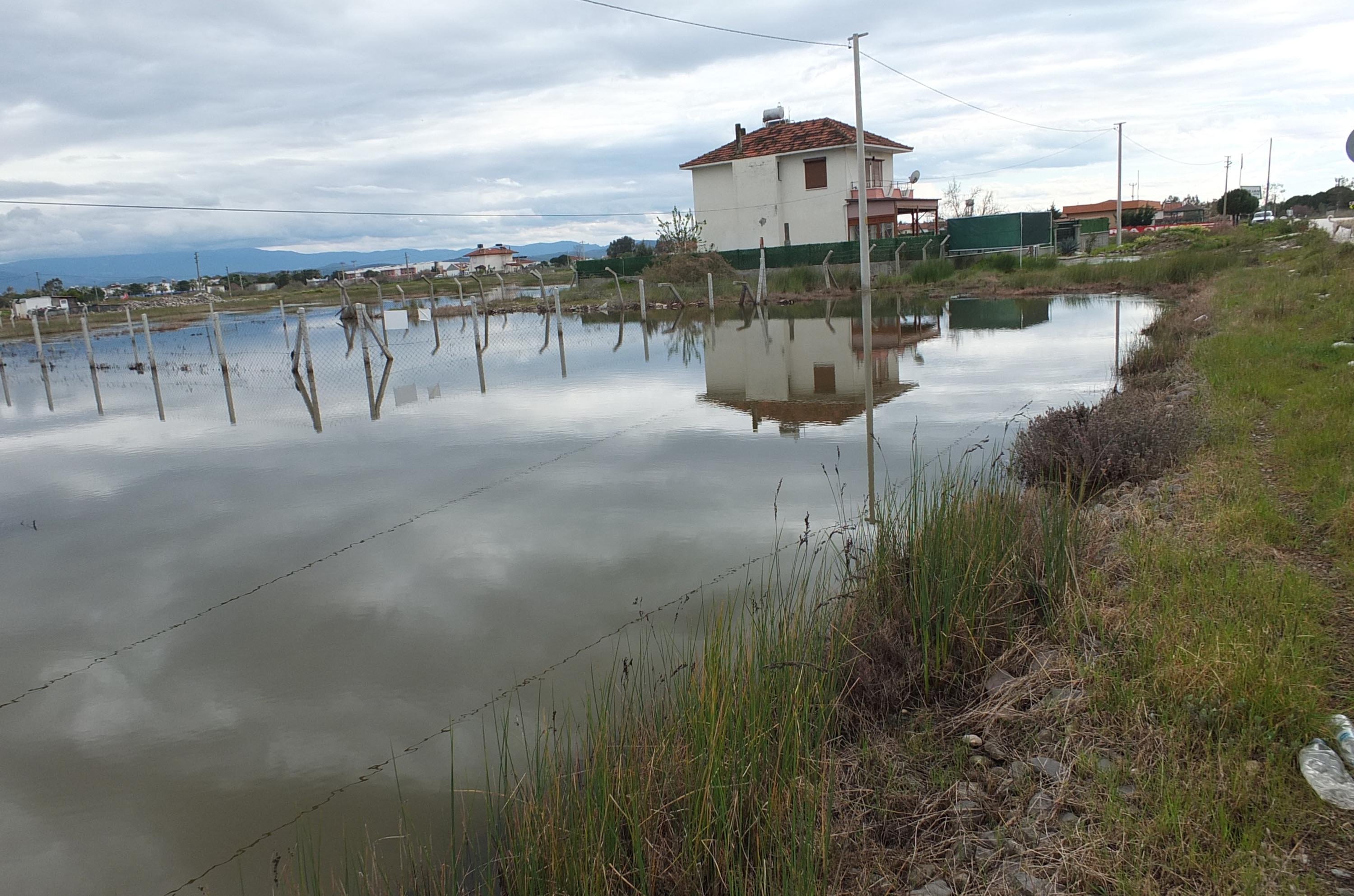Burhaniye'de yazlıklar ve tarlalar su içinde kaldı