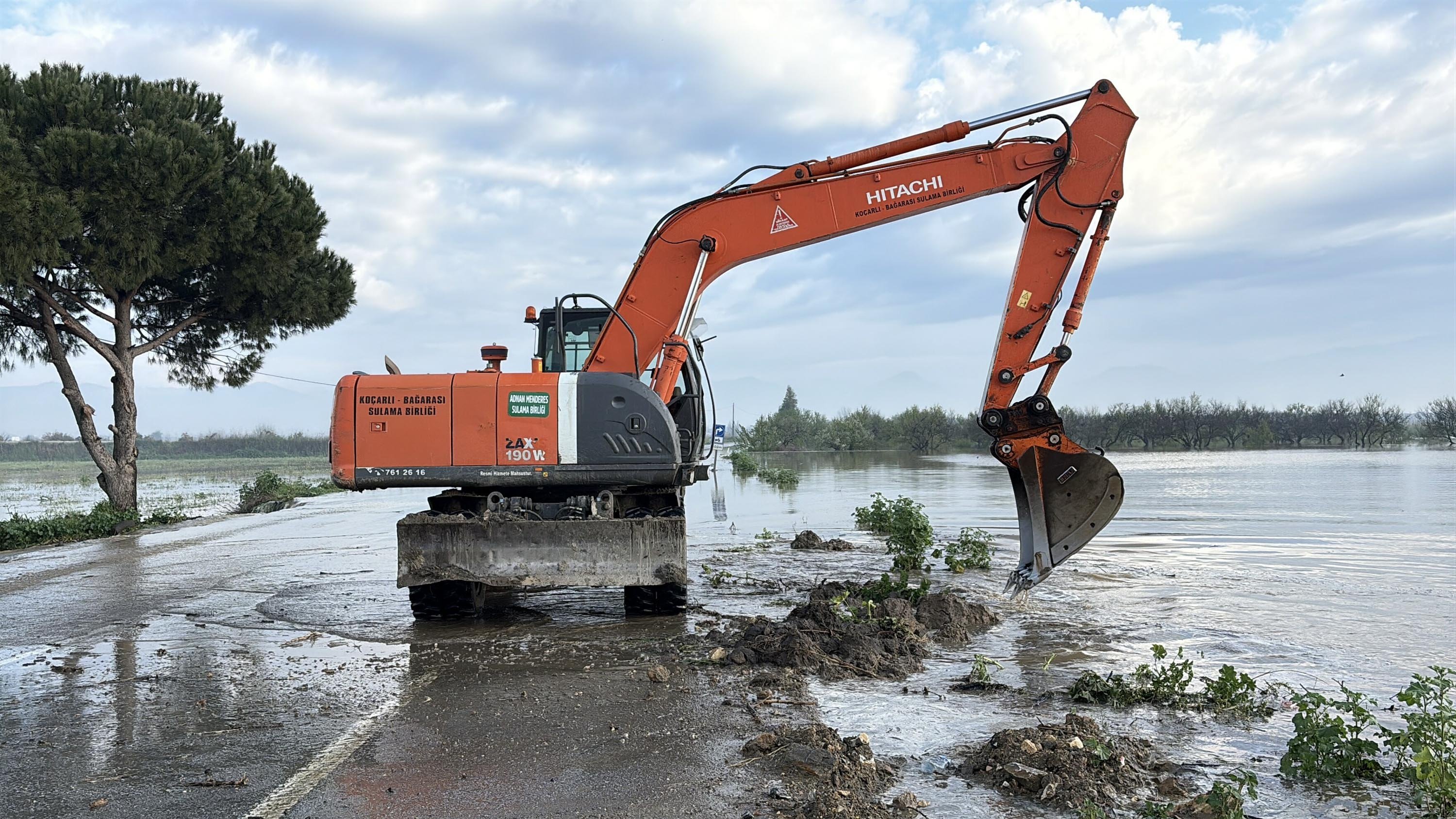 Büyük Menderes Nehri yine taştı, tarım arazileri su altında kaldı