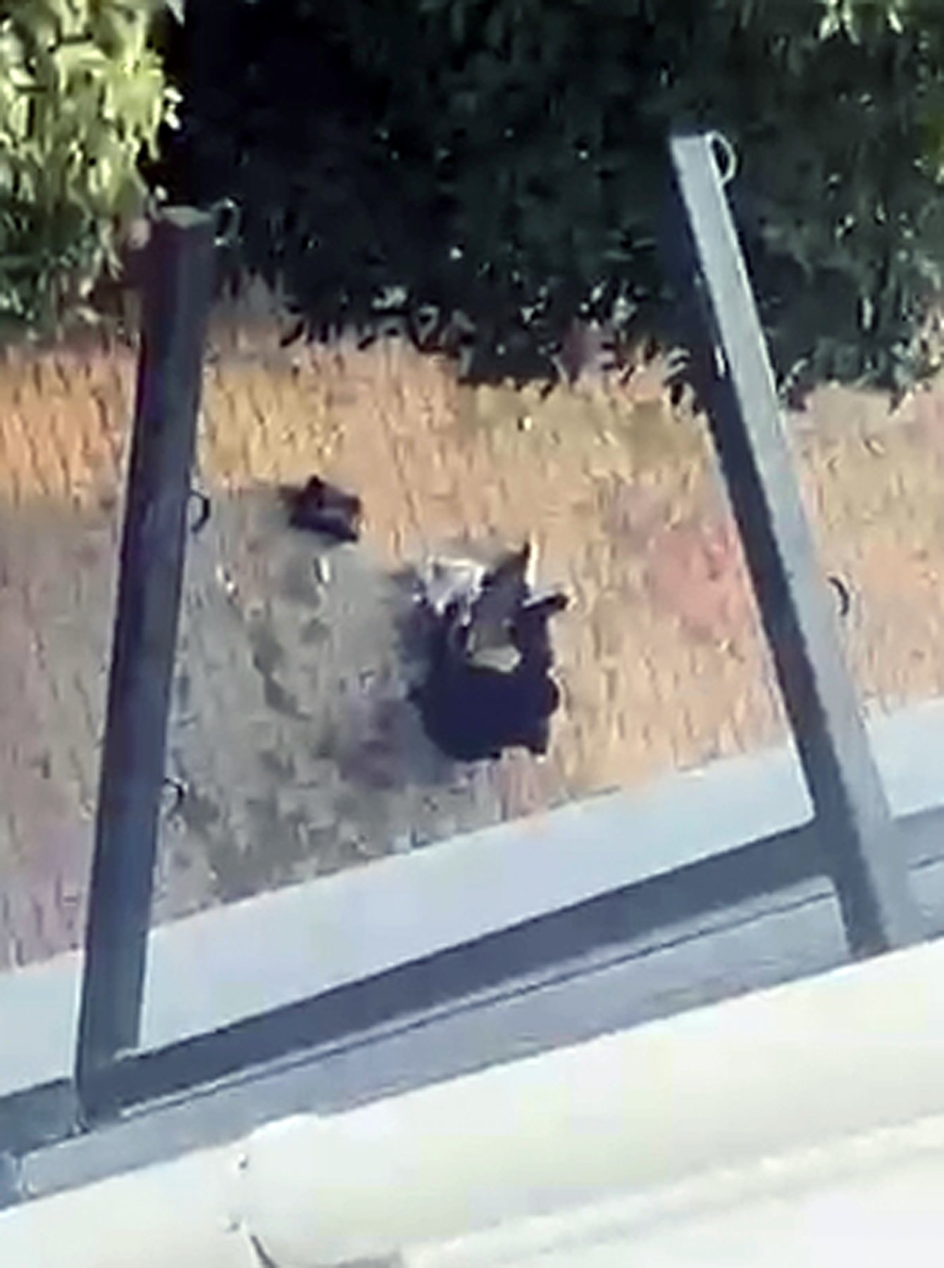 Çocuklarının gözü önünde eski eşi tarafından tabancayla bacaklarından vuruldu