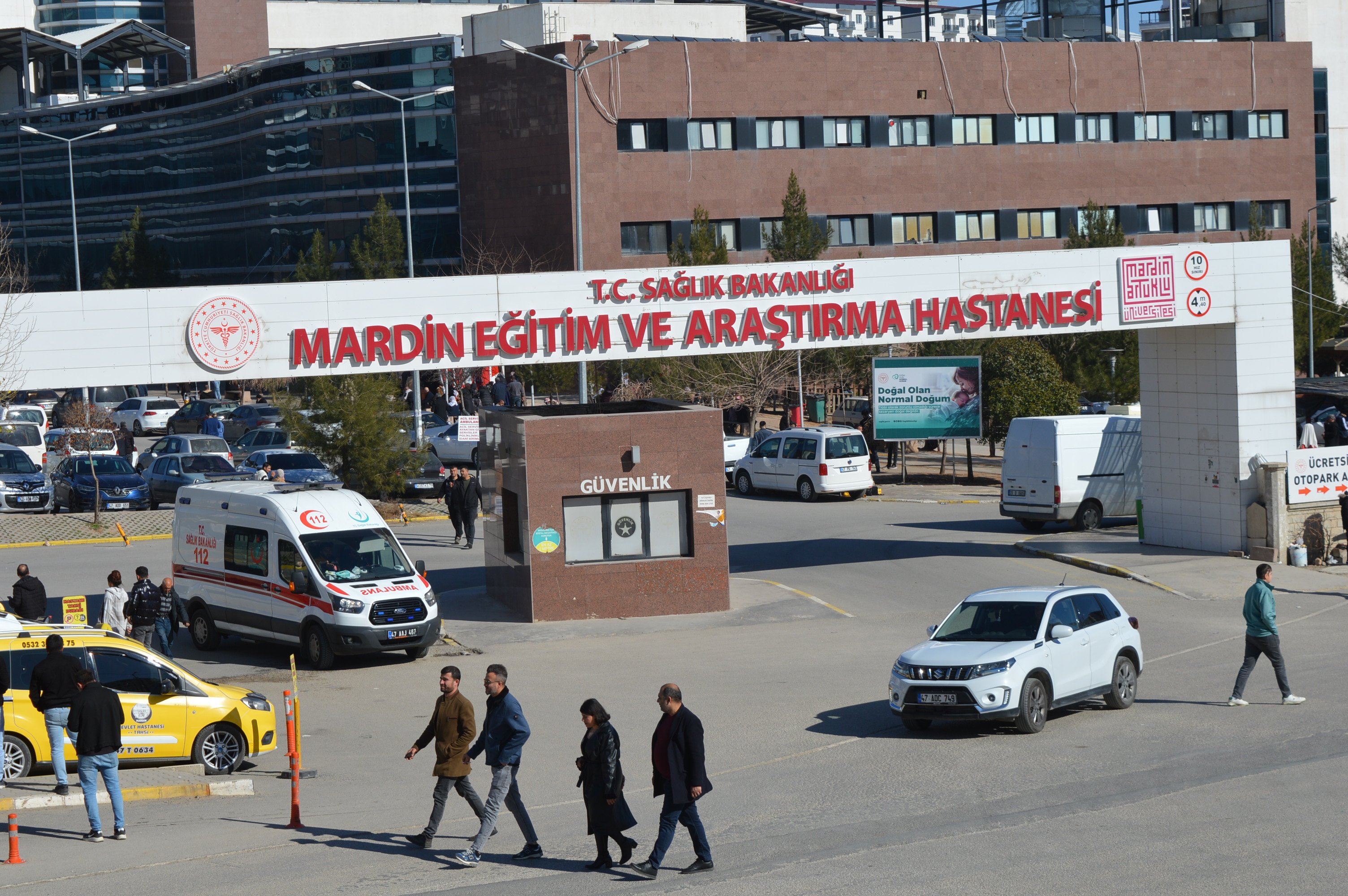 Elif, evinde ölü bulundu