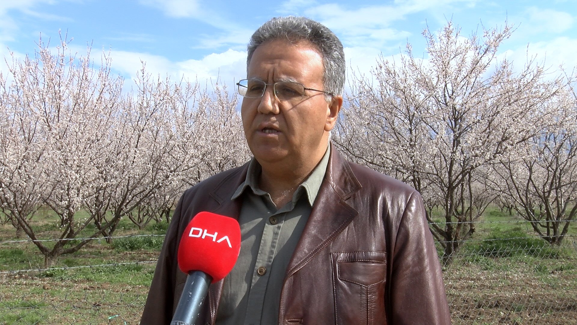 Geçen yıl zirai dondan etkilenen kayısı ağaçları çiçek açtı