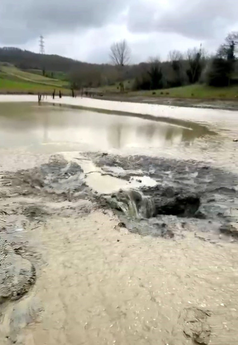 Göletin suyu boşalınca balıklar açıkta kaldı