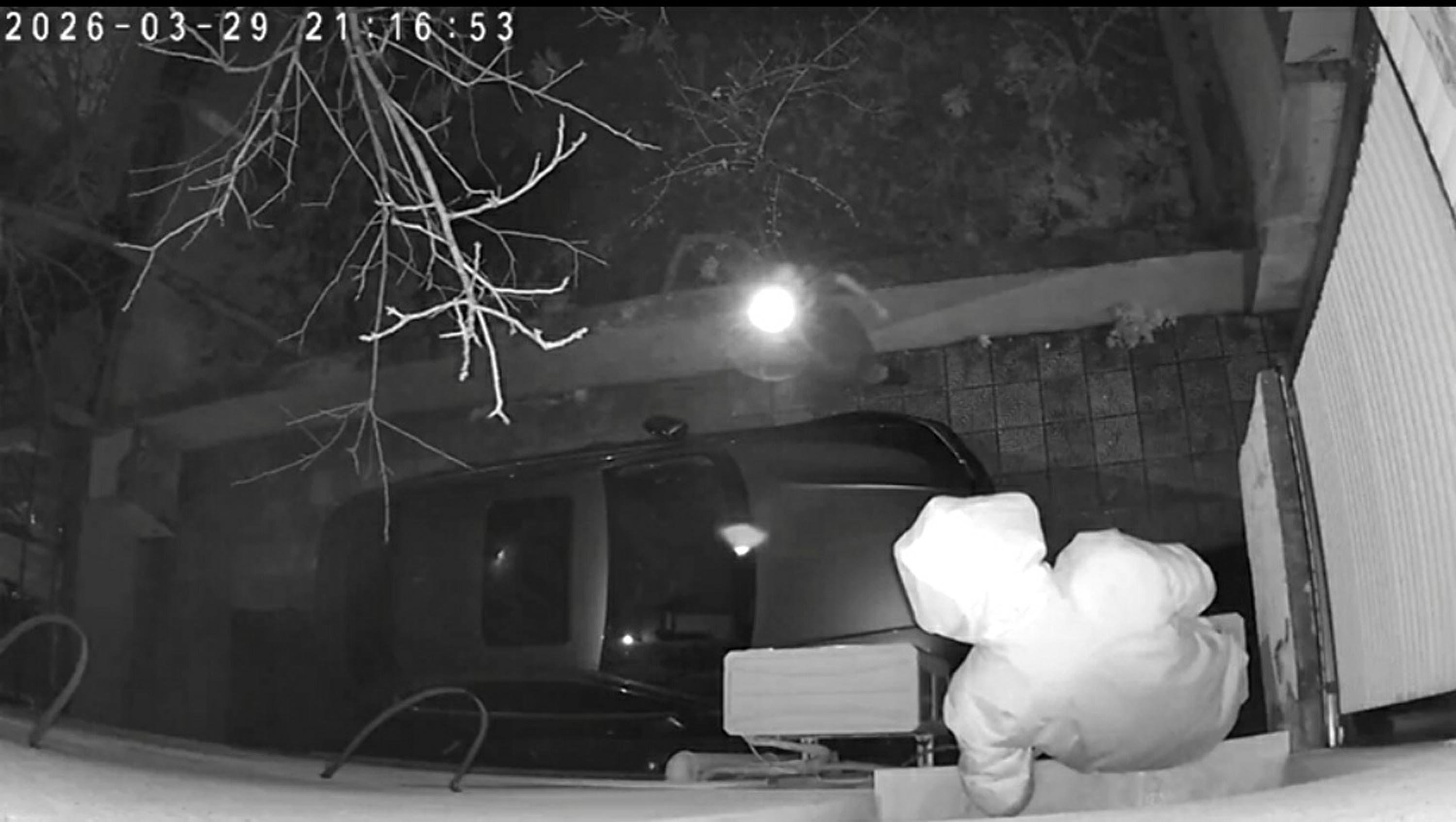 Hırsızlık için tırmandığı binada fark edilince, otomobilin üzerine atlayıp, kaçtı