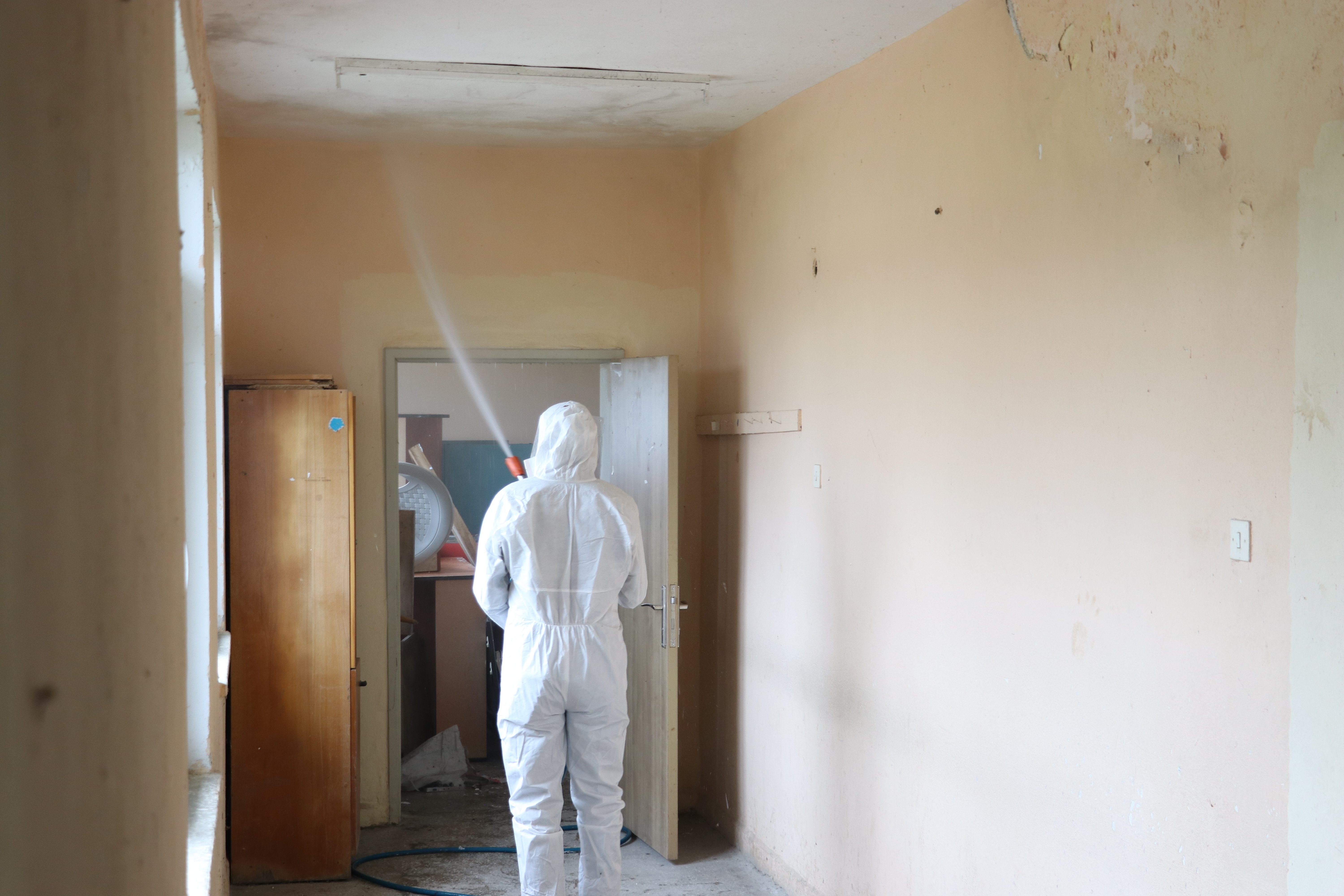 Kahverengi kokarcalar kışlaklardan çıkmadan imha ediliyor