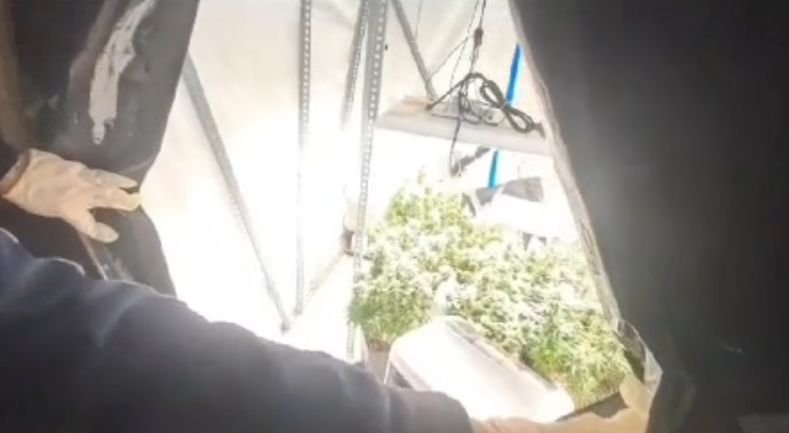 Kocaeli'de 40 adrese uyuşturucu baskını: 36 gözaltı