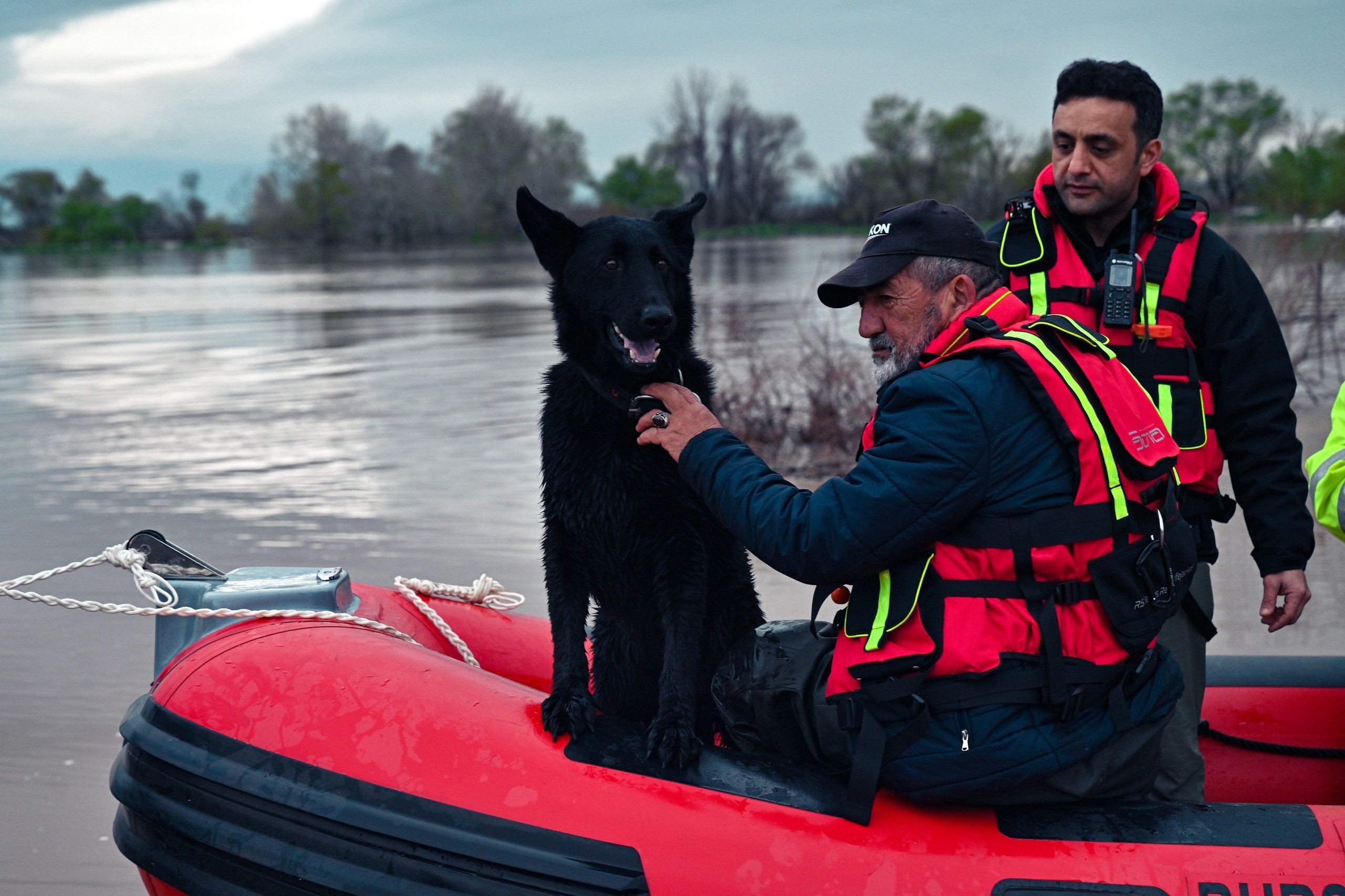 Su baskınında mahsur kalan iki köpek botla kurtarıldı; o anlar kamerada