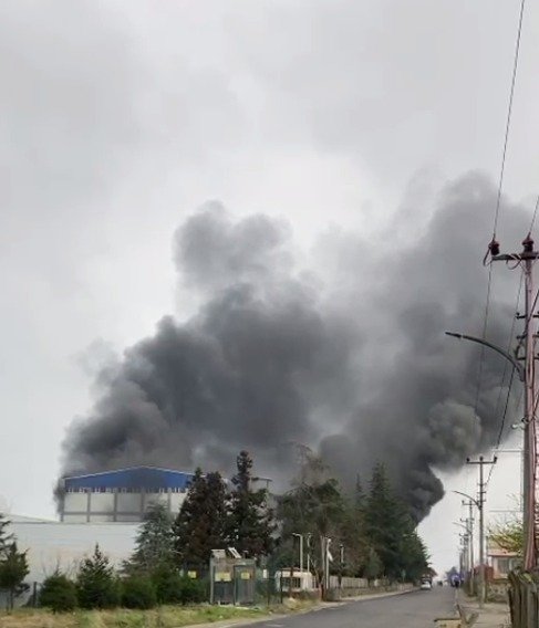 Trabzon'da fındık fabrikasında yangın