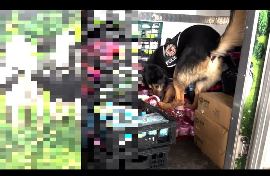 Van'da kamyonette 90 kilo 600 gram uyuşturucu ele geçirildi