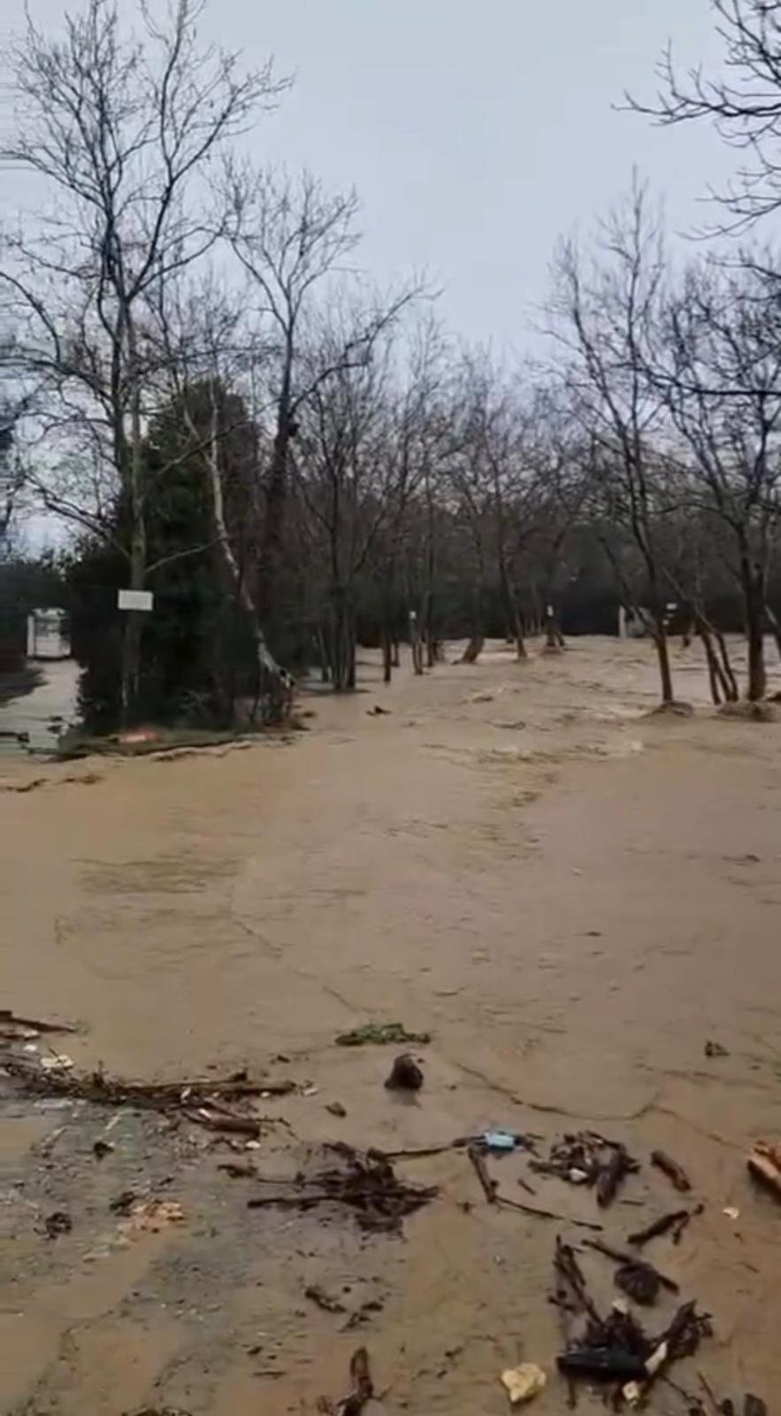 Yalova'da sağanak nedeniyle dereler taştı, 5 büyükbaş öldü