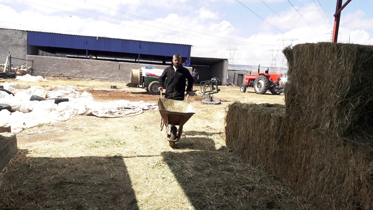 80 bin lira maaşla çalıştıracak çoban bulamıyorlar/Ek fotoğraflar