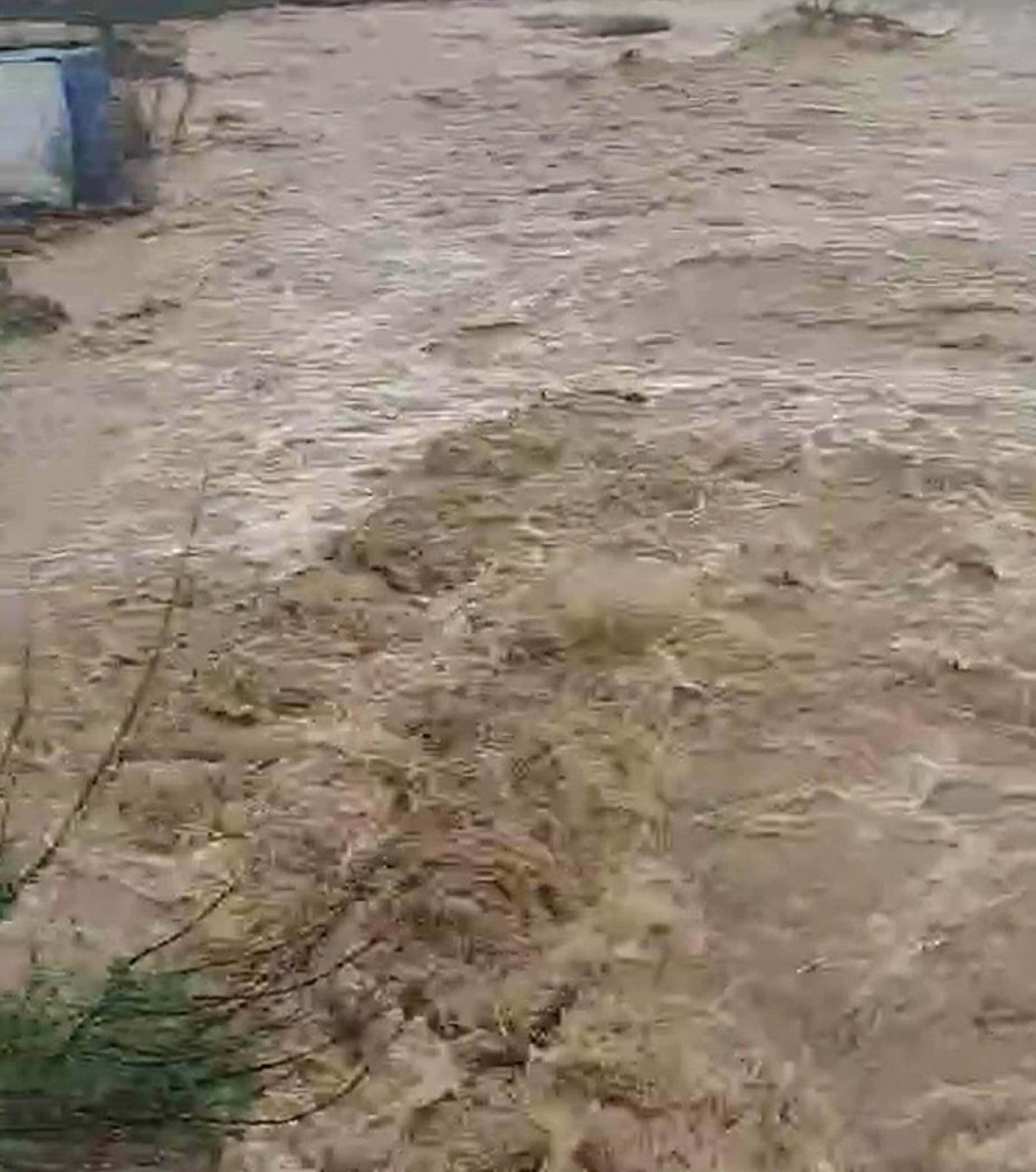 Aydın'da sağanak; istinat duvarı çöktü, bazı evleri su bastı