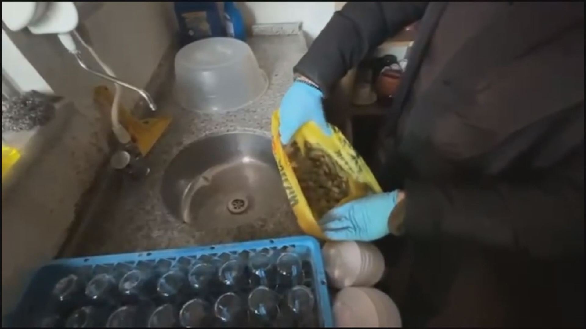 Beykoz ve Çekmeköy'de uyuşturucu operasyonu: 11 gözaltı