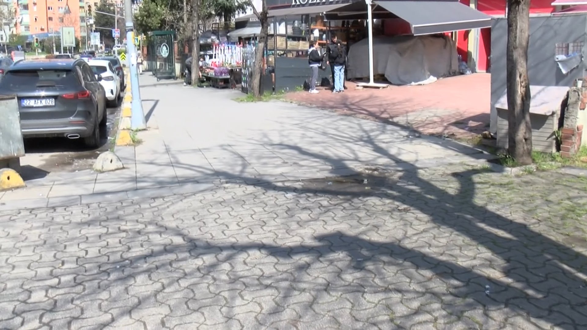 Kadıköy'de kaldırımda yatan 'Pakize' isimli köpeği ezip yollarına devam ettiler