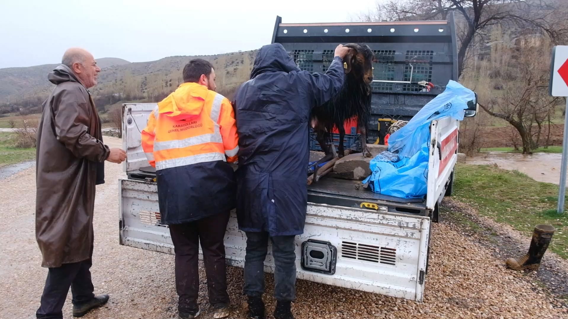 Kayalıkta mahsur kalan keçiyi itfaiye kurtardı