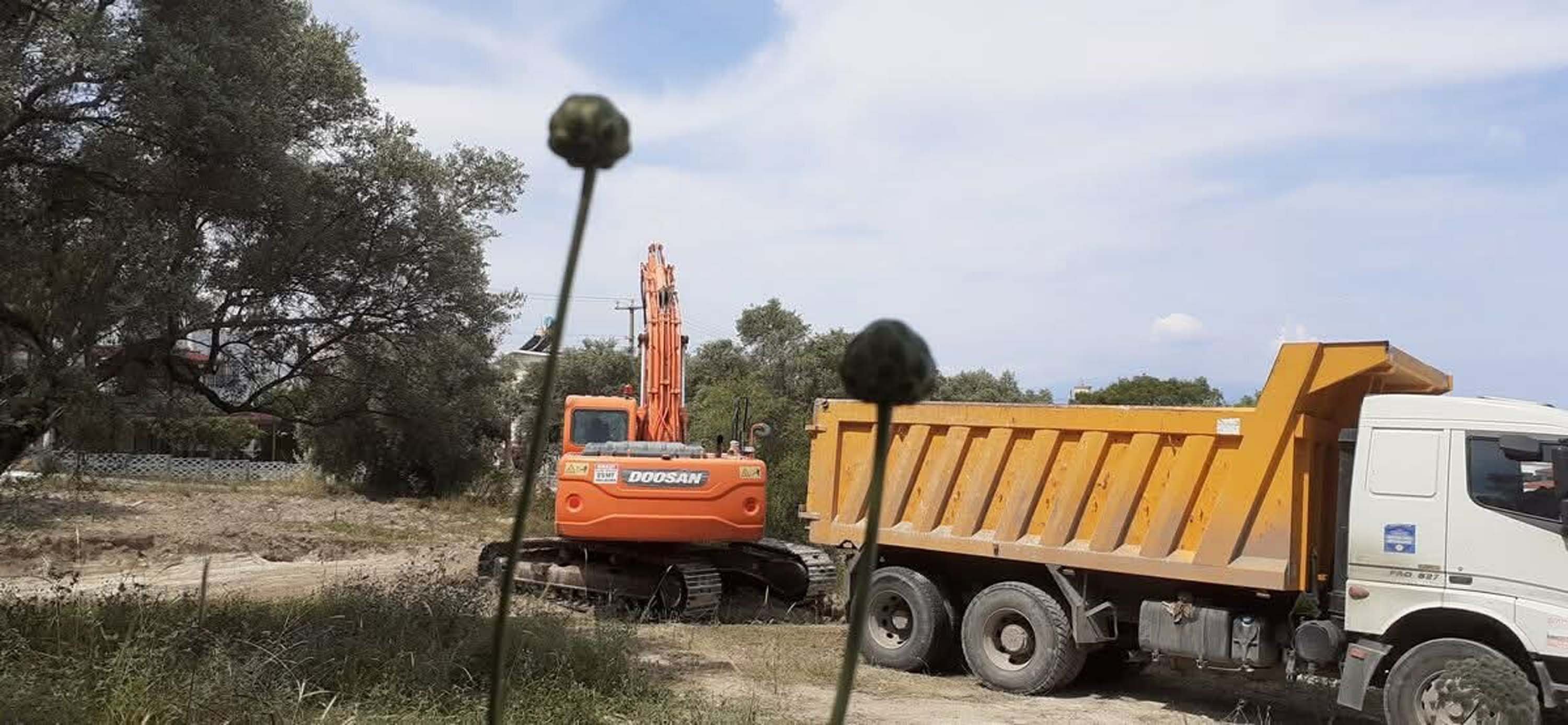 'Tülüşah, yok olma tehlikesiyle karşı karşıya'