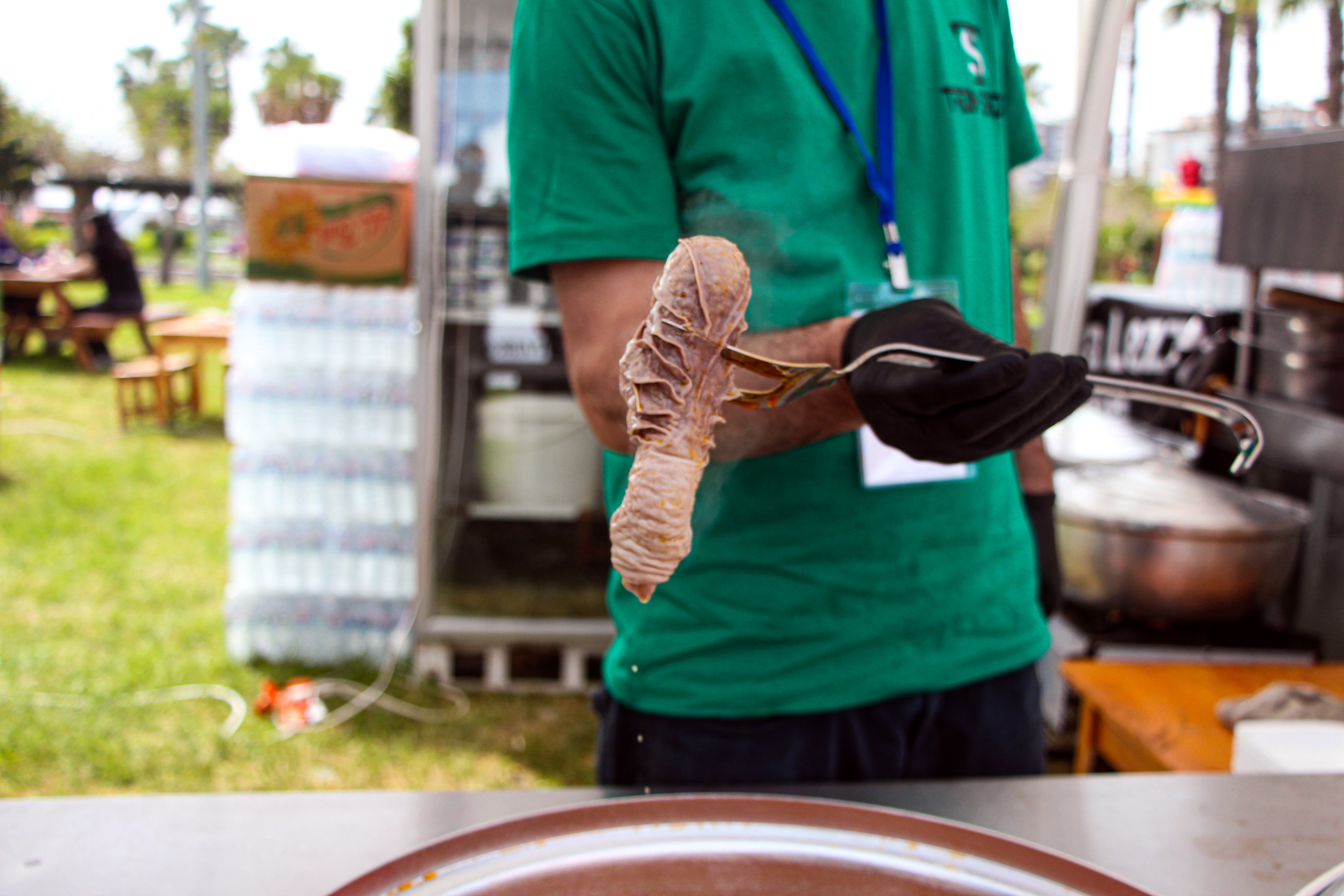 Uluslararası Portakal Çiçeği Karnavalı'nda rengarenk görüntüler/Ek fotoğraflar