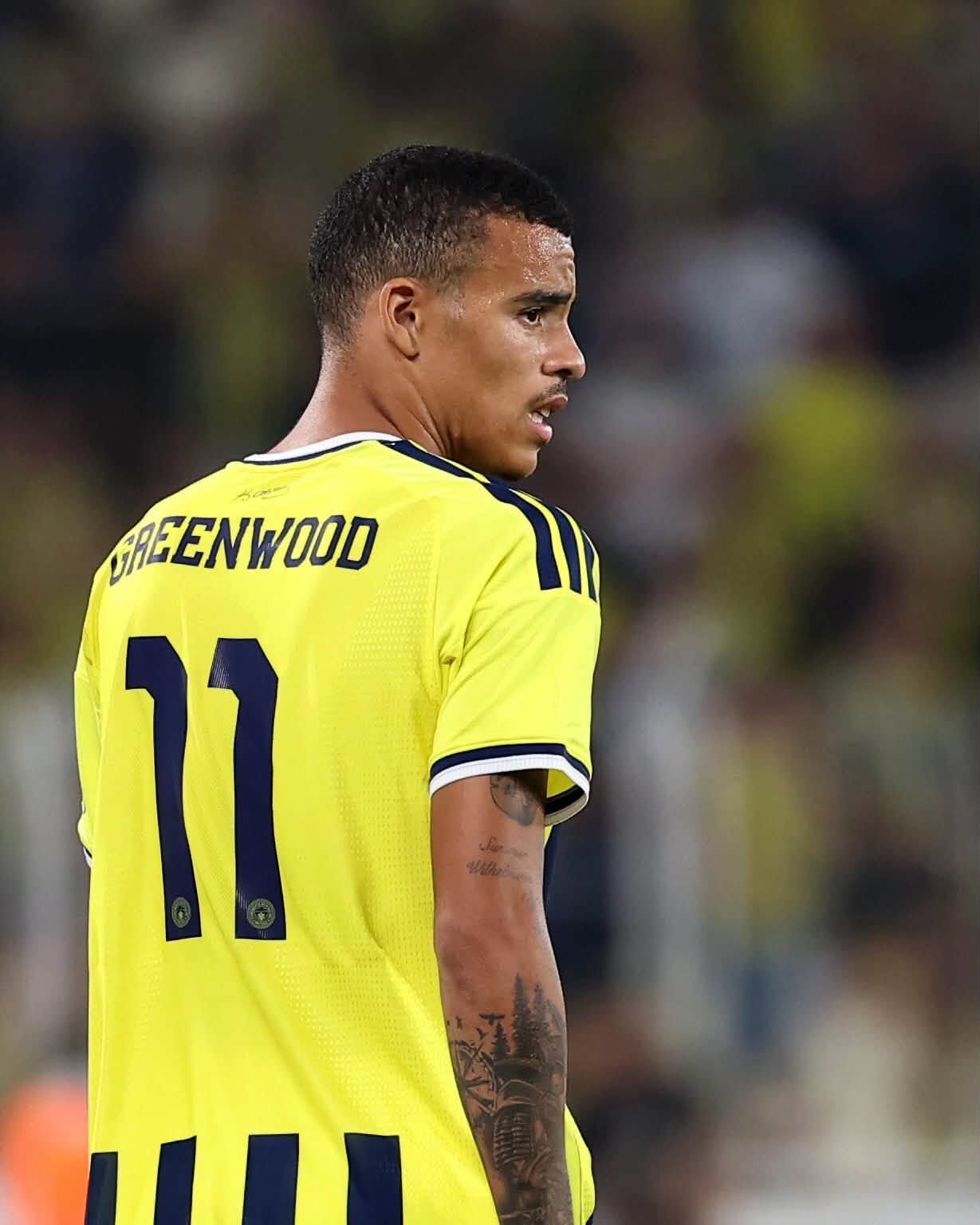 Fenerbahçe Gornik Zabrze'yi Tek Golle Yendi