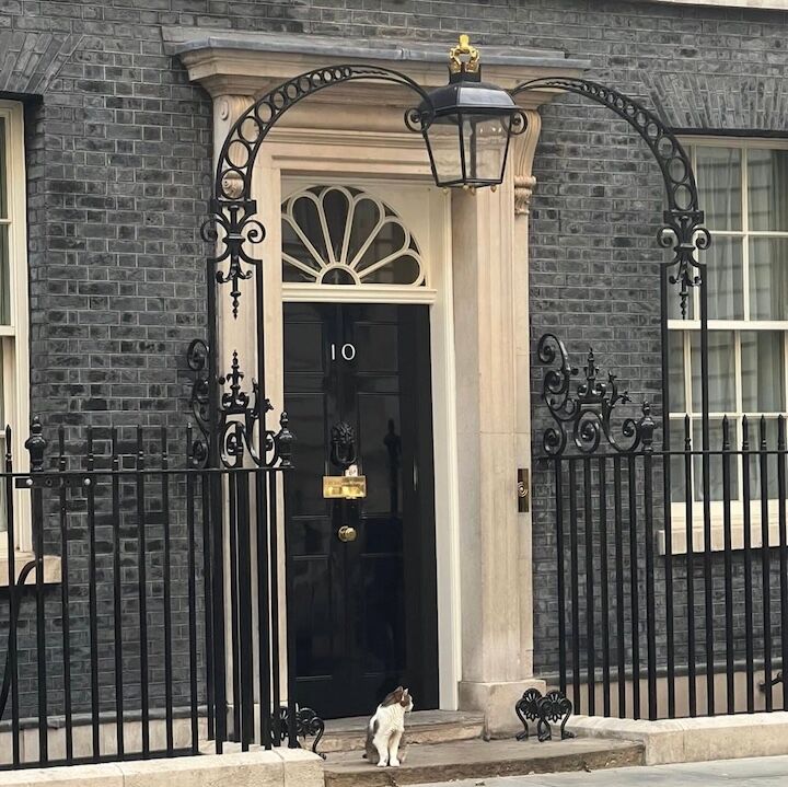 Larry The Cat