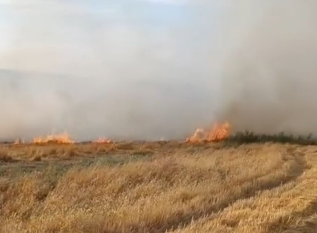 Adıyaman'da anız yangını söndürüldü