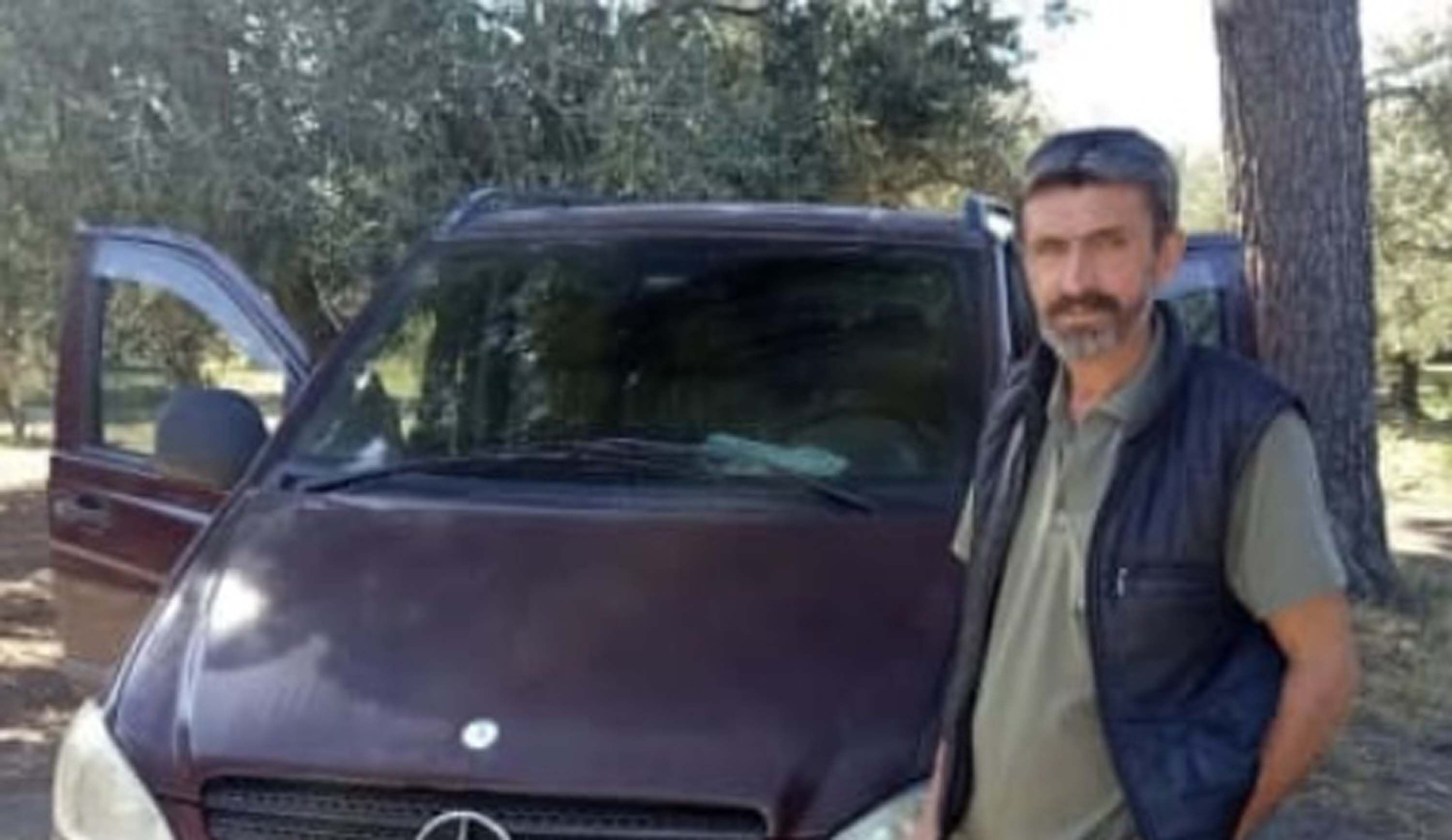 Zeytin toplarken arı soktu, hayatını kaybetti