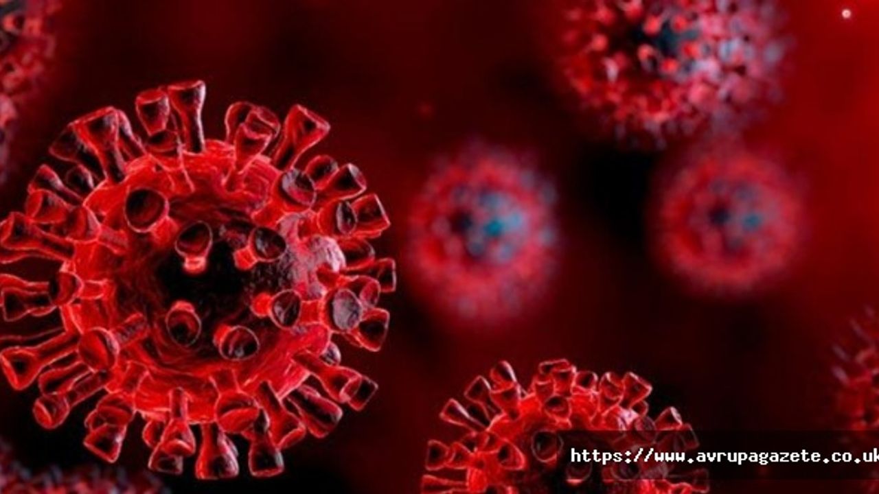İngiltere'de şok araştırma ! Koronavirüsü yenenlerin üçte biri taburcu sonrası ilk 5 ayda hastaneye kaldırıldı