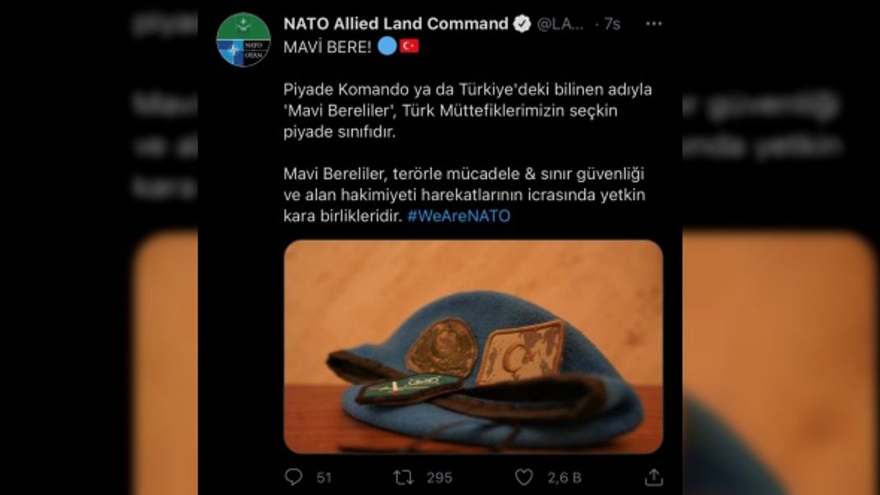 NATO Müttefik Kara Komutanlığı: Mavi Bereliler, Türk müttefiklerimizin seçkin piyade sınıfıdır