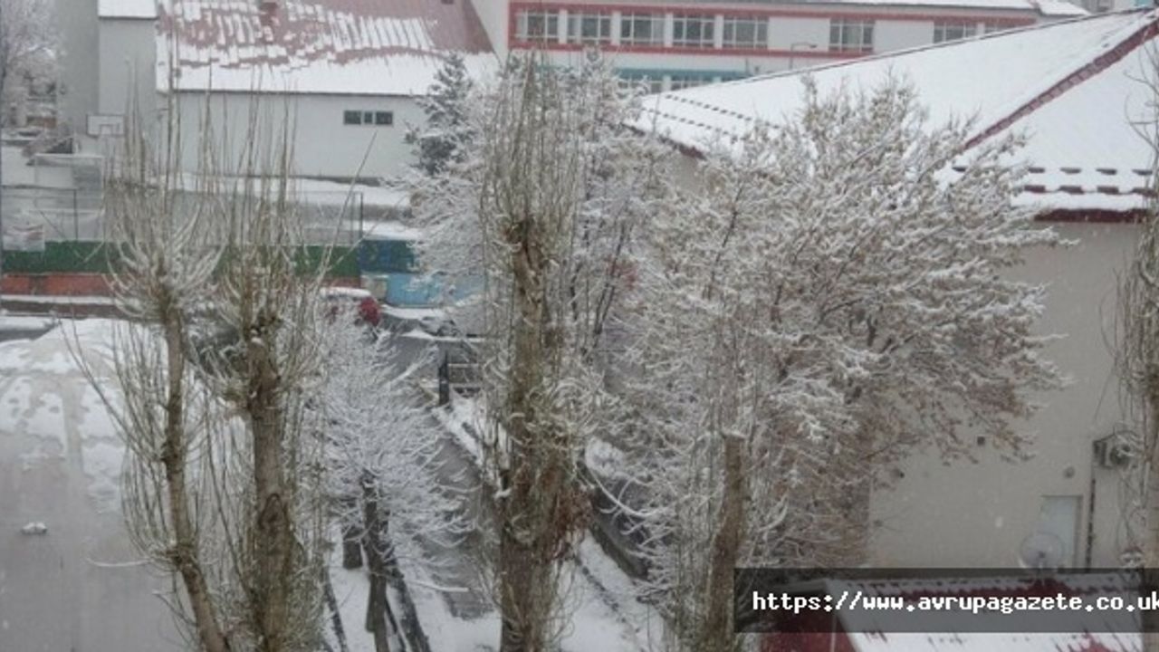 Ardahan'da etkili olan kar yağışı etrafı beyaza bürüdü