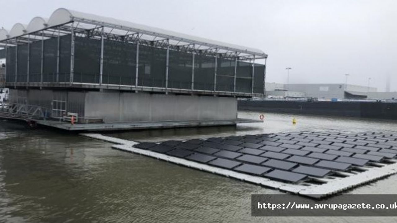 Rotterdam'daki, dünyanın ilk yüzen çiftliği, tarım ve hayvancılıkta sürdürülebilirlik ve geri dönüşüm sağlıyor