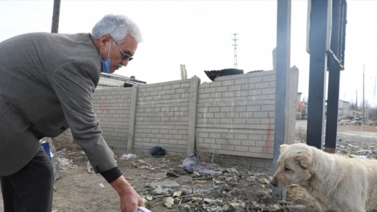 Emekli memur, 38 yıldır sokak hayvanlarının yazın susuz, kışın da yiyeceksiz kalmaması için çabalıyor