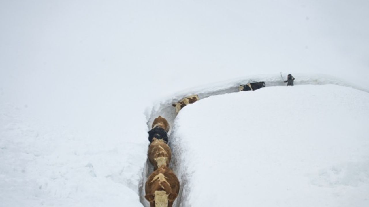 Çiftçilere 2 metreyi aşan kar çile değil bereket