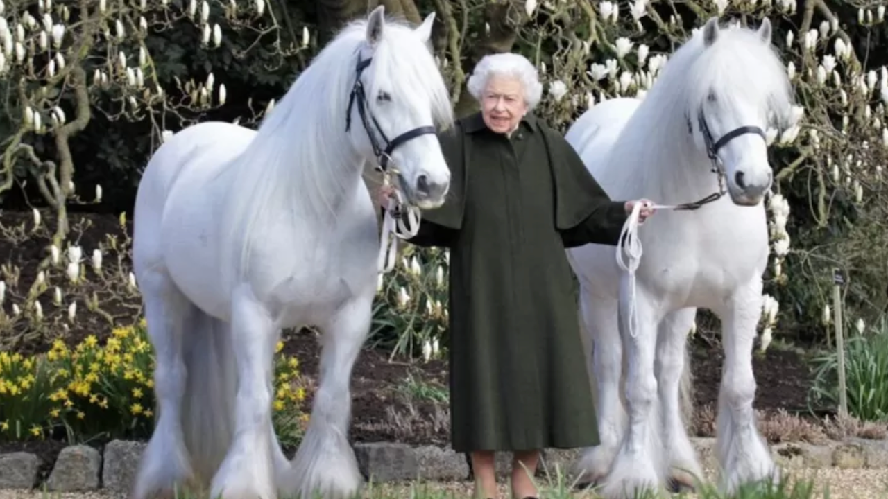 İngiltere Kraliçesi Elizabeth'in 96. yaş günü kutlamaları