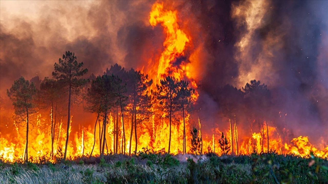 Fransa'nın Gard bölgesindeki yangın