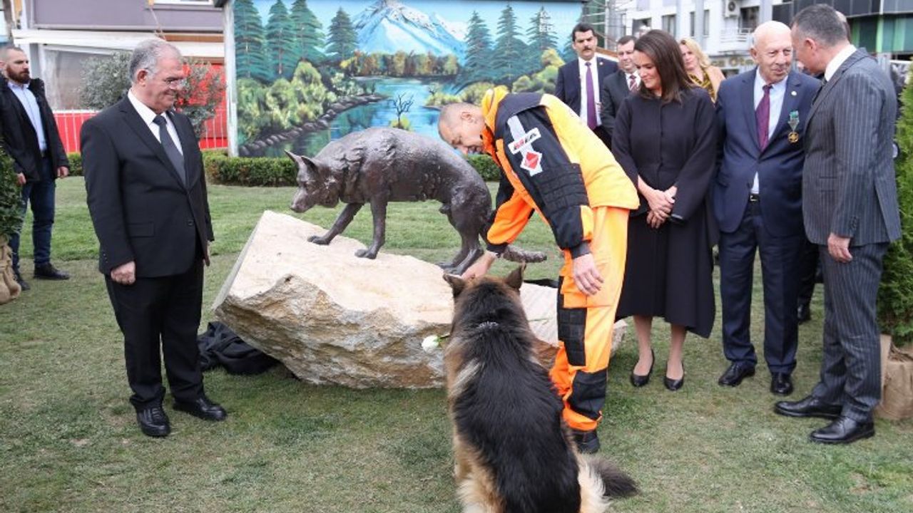 Kahraman köpek Mancs’in anısı İzmit'te yaşatılacak