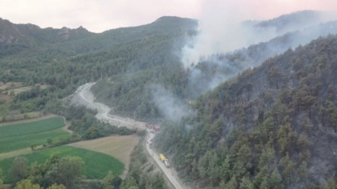 Bilecik'te çıkan orman yangını, video haber