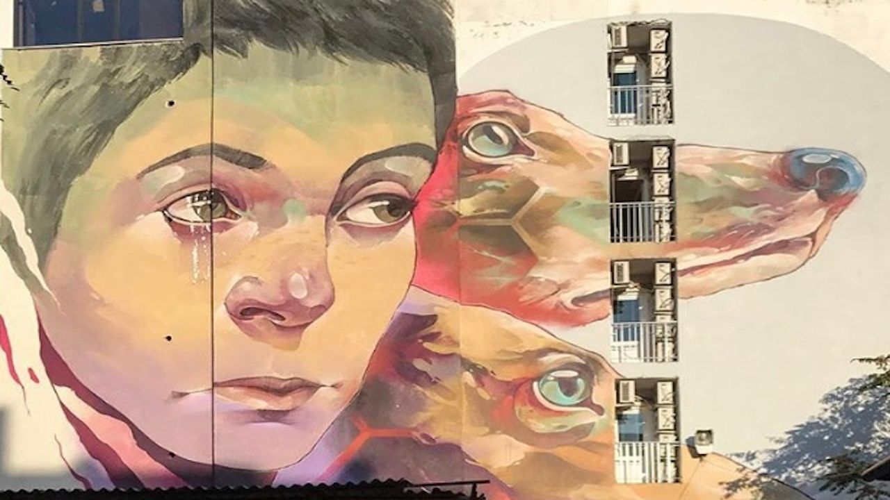 İstanbul bir çok sokak sanatçısı için cazibe merkezi artık