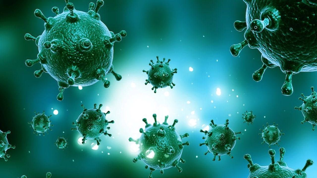Nipah virüsü yeni küresel salgın mı ?