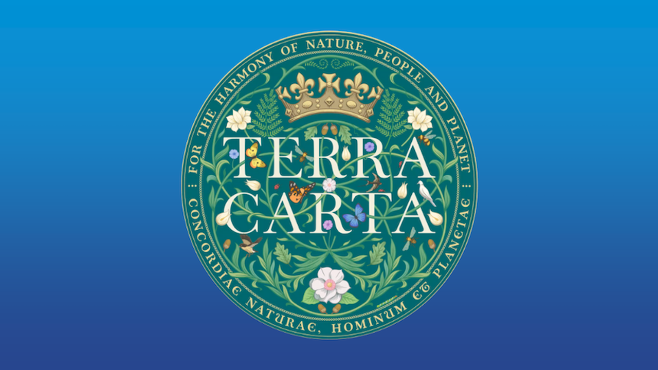 Birleşik Krallık Terra Carta Mührü EY’ye verildi