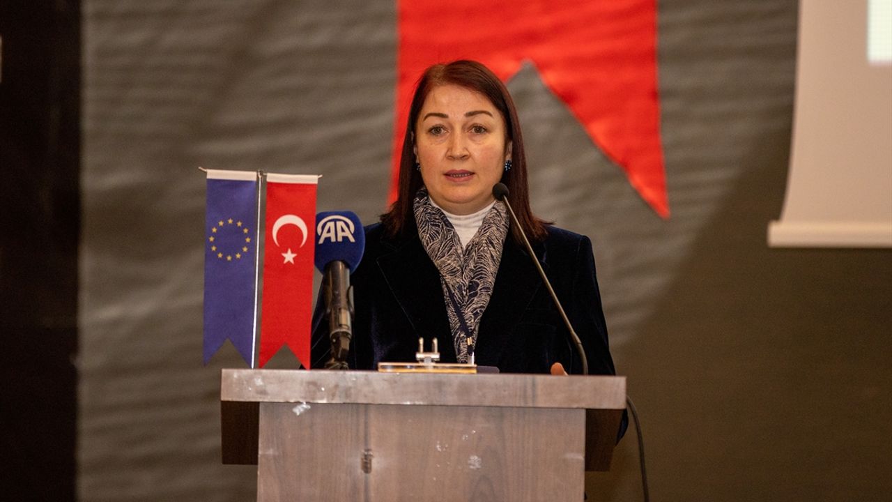 Sakarya'da "Türkiye'nin Ulaşımda Net Sıfır Emisyon Yol Haritası Projesi" çalıştayı düzenleniyor