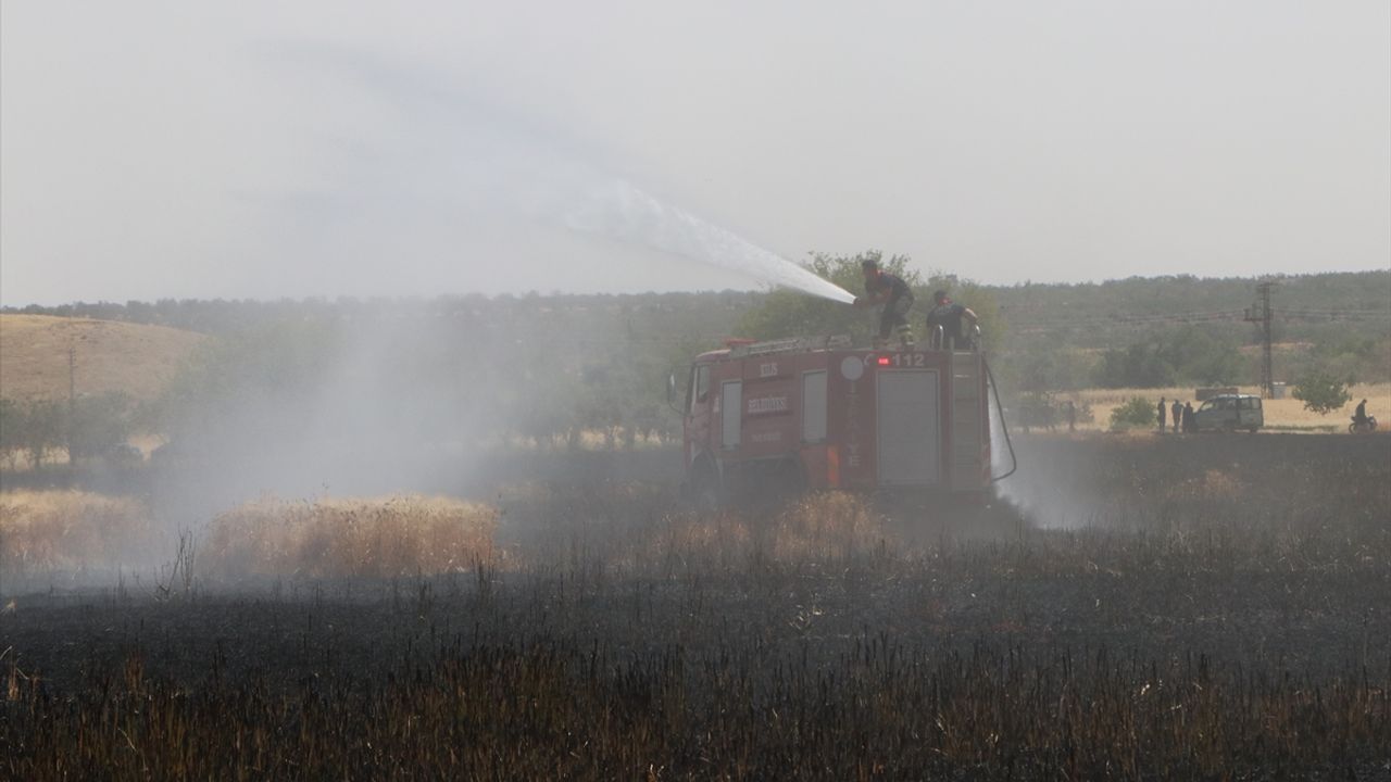Kilis'te çıkan yangında yaklaşık 150 dönümlük buğday tarlası zarar gördü