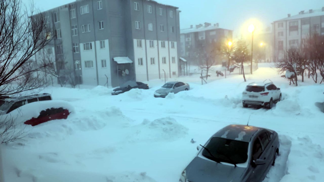 Bitlis'te yüksek gerilim hattında zorlu kış mesaisi (2)