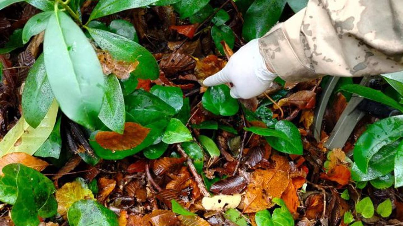 Dere yatağında cansın bedeni bulunan anne ve oğlunun hipotermi sonucu öldüğü belirlendi