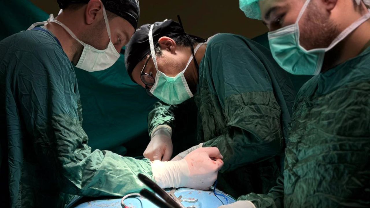 Bitlis'te ilk kez gerçekleştirilen ameliyatlarla sağlıklarına kavuştular