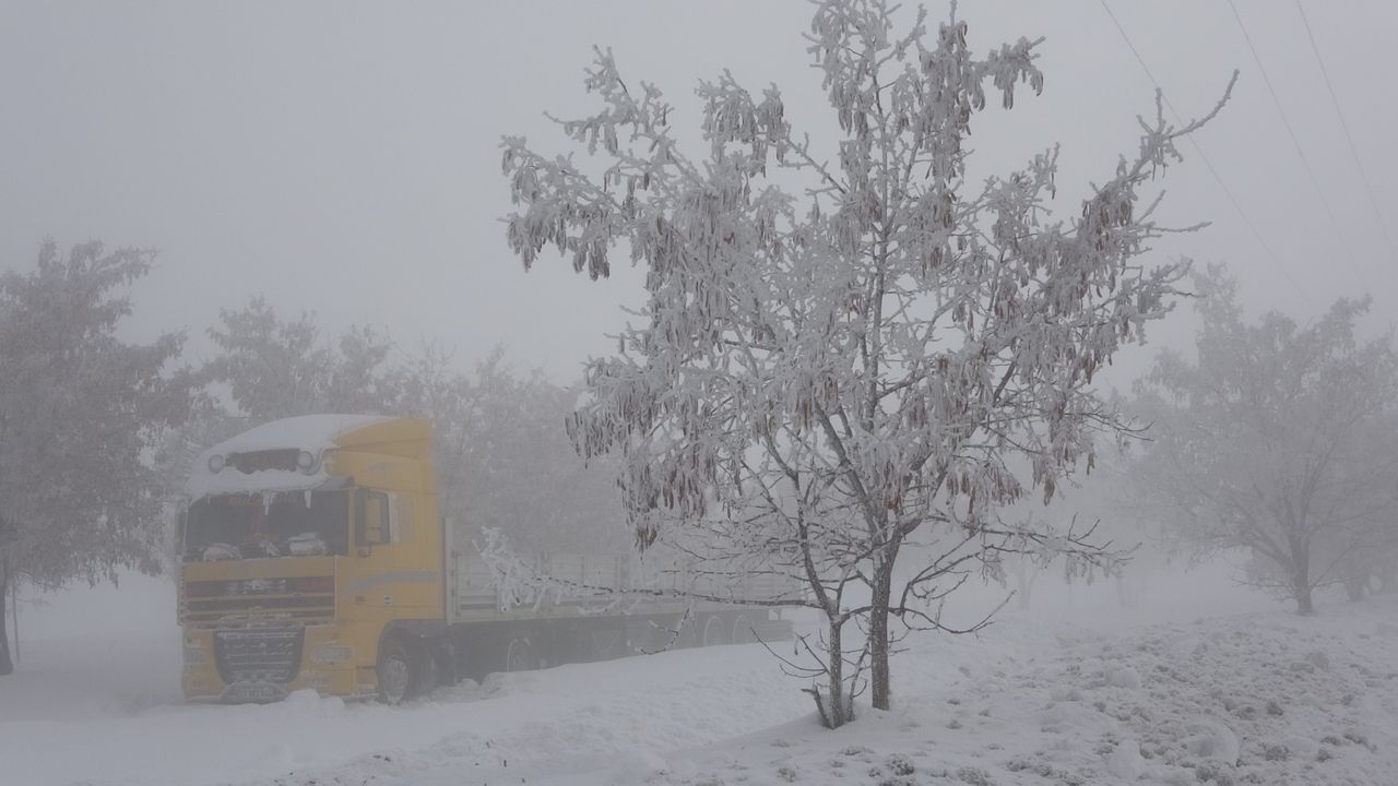Bitlis'te sis etkili oluyor